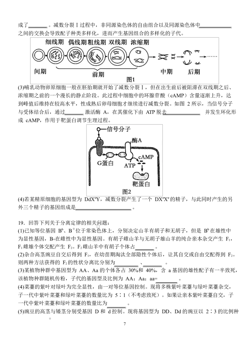江西省南昌市第二中学2026届高三上学期月考（一）生物试题（含答案）_2025年10月_12026年试卷教辅资源等多个文件_251025江西省南昌市第二中学2026届高三上学期月考（一）