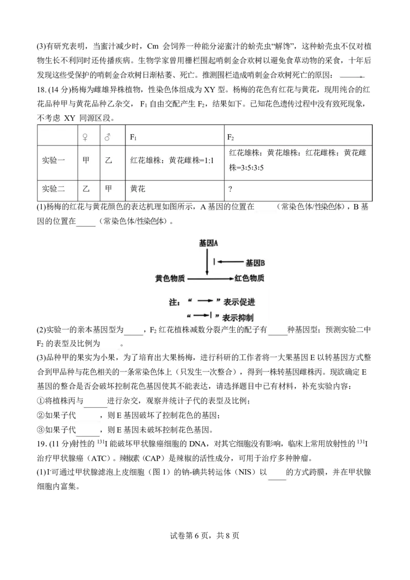 福建省厦门市第一中学2024-2025学年高三下学期第一次质检模拟生物学试题（含答案）_2025年2月_250227福建省厦门市第一中学2024-2025学年高三下学期第一次质检模拟