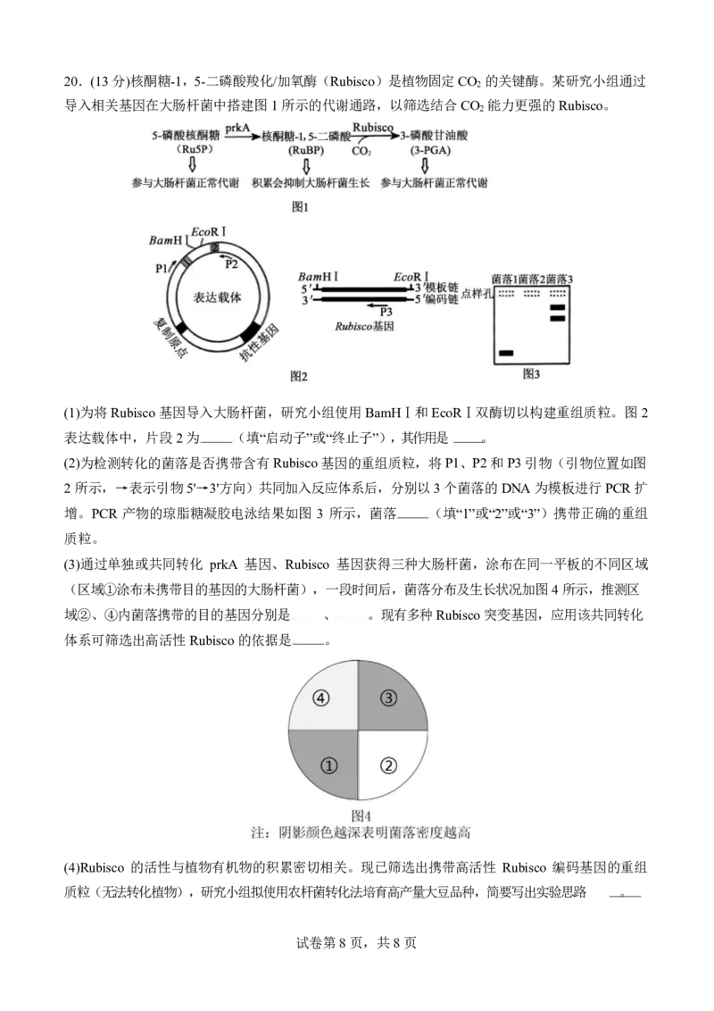 福建省厦门市第一中学2024-2025学年高三下学期第一次质检模拟生物学试题（含答案）_2025年2月_250227福建省厦门市第一中学2024-2025学年高三下学期第一次质检模拟