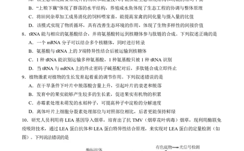 福建省厦门市第一中学2024-2025学年高三下学期第一次质检模拟生物学试题（含答案）_2025年2月_250227福建省厦门市第一中学2024-2025学年高三下学期第一次质检模拟