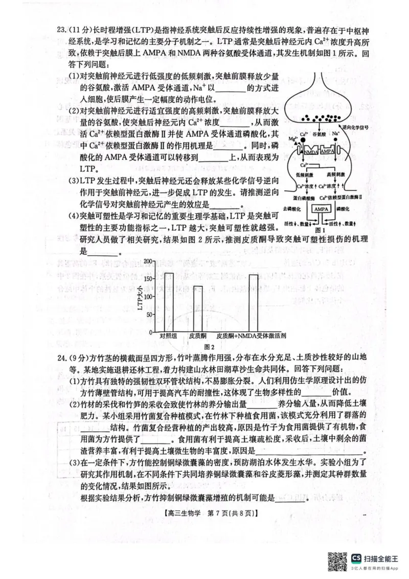 辽宁省辽阳市2025届高三下学期第一次模拟考试（辽阳一模）生物+答案_2025年3月_250318辽宁省辽阳市2025届高三下学期第一次模拟考试（辽阳一模）