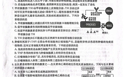 辽宁省辽阳市2025届高三下学期第一次模拟考试（辽阳一模）生物+答案_2025年3月_250318辽宁省辽阳市2025届高三下学期第一次模拟考试（辽阳一模）