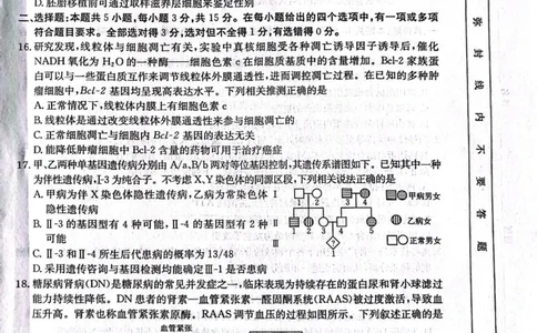 辽宁省辽阳市2025届高三下学期第一次模拟考试（辽阳一模）生物+答案_2025年3月_250318辽宁省辽阳市2025届高三下学期第一次模拟考试（辽阳一模）