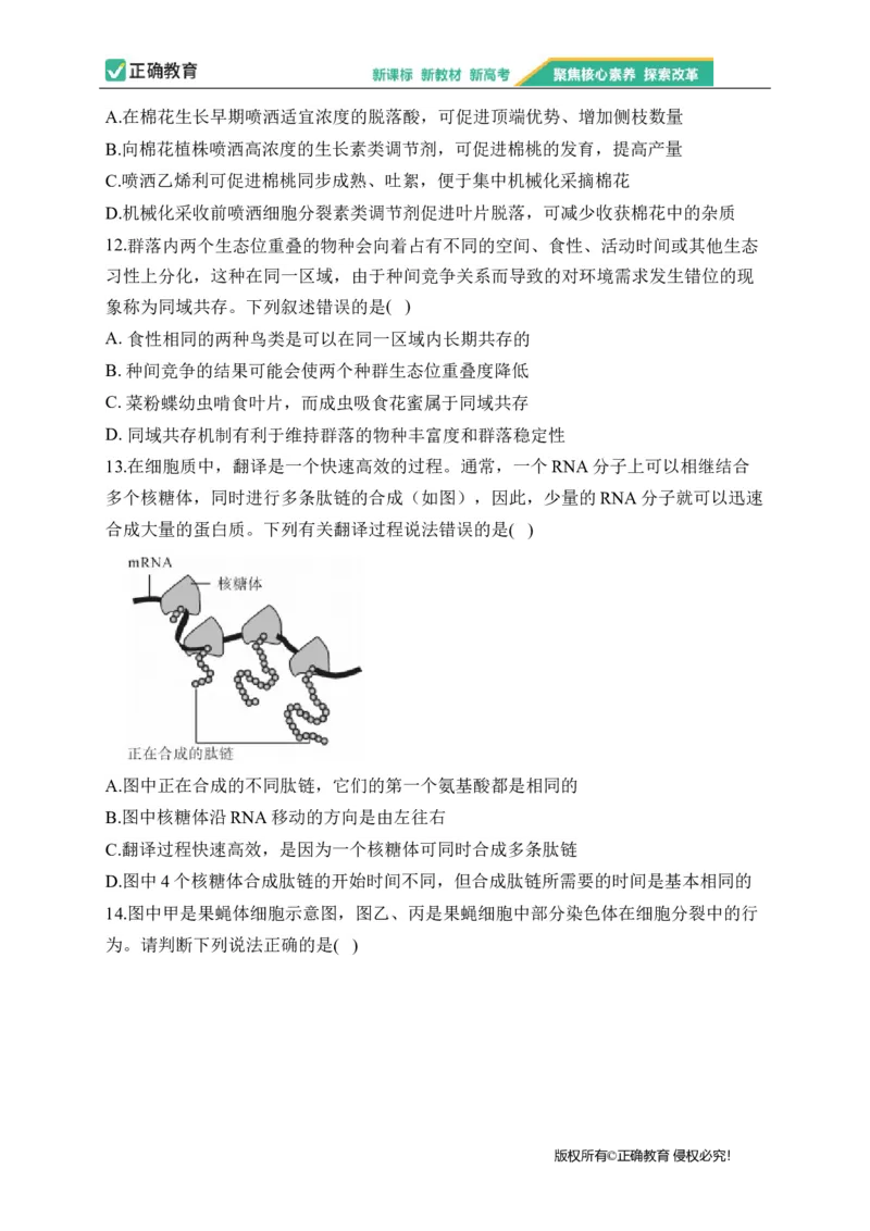 2023届新高考生物金榜猜题卷福建专版_2023高考押题卷_正确教育金榜猜题卷_（新高考）正确教育丨金榜猜题卷_新高考生物