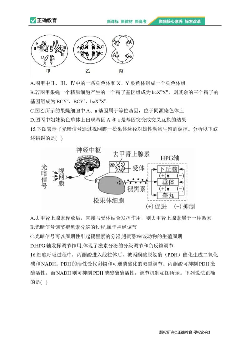 2023届新高考生物金榜猜题卷福建专版_2023高考押题卷_正确教育金榜猜题卷_（新高考）正确教育丨金榜猜题卷_新高考生物