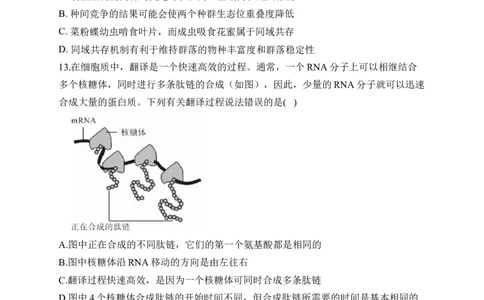 2023届新高考生物金榜猜题卷福建专版_2023高考押题卷_正确教育金榜猜题卷_（新高考）正确教育丨金榜猜题卷_新高考生物