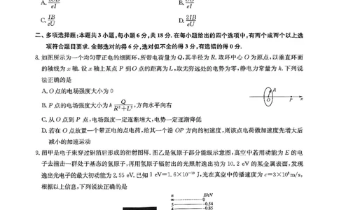 河南省九师联盟2025届高三下学期二模试题物理_2025年4月_250402河南省九师联盟2025届高三4月联考（全科）_河南省九师联盟2025届高三4月联考物理