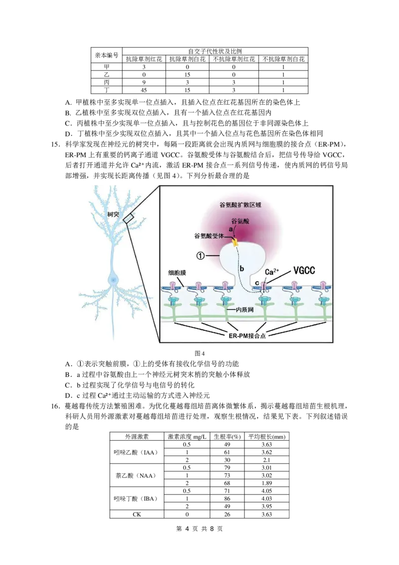 大湾区联考（二）生物学试题_2025年4月_250424广东省大湾区2025届普通高中毕业年级联合模拟考试（二）（大湾区二模）_广东省大湾区2025届普通高中毕业年级联合模拟考试（二）生物
