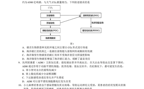 大湾区联考（二）生物学试题_2025年4月_250424广东省大湾区2025届普通高中毕业年级联合模拟考试（二）（大湾区二模）_广东省大湾区2025届普通高中毕业年级联合模拟考试（二）生物