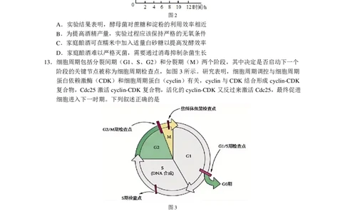 大湾区联考（二）生物学试题_2025年4月_250424广东省大湾区2025届普通高中毕业年级联合模拟考试（二）（大湾区二模）_广东省大湾区2025届普通高中毕业年级联合模拟考试（二）生物
