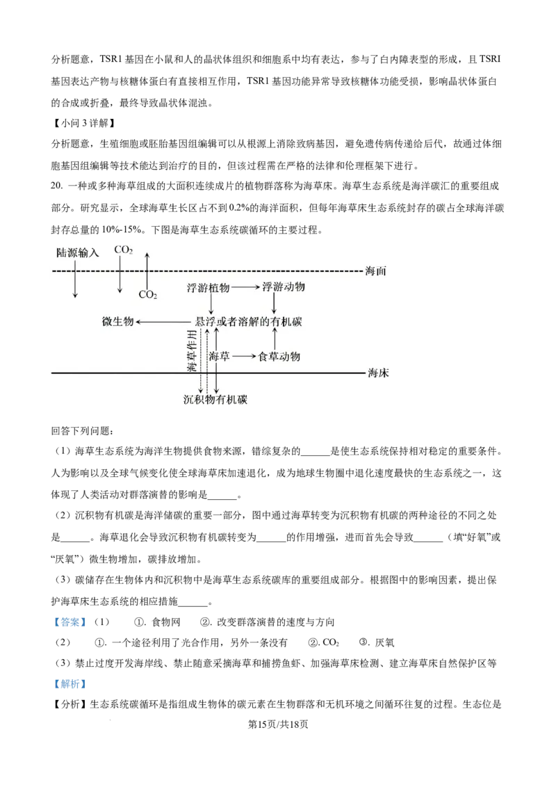 广东省深圳市高级中学高中园2025届高三下学期第一次模拟考试生物答案_2025年3月_250325广东省深圳市高级中学高中园2025届高三下学期第一次模拟考试