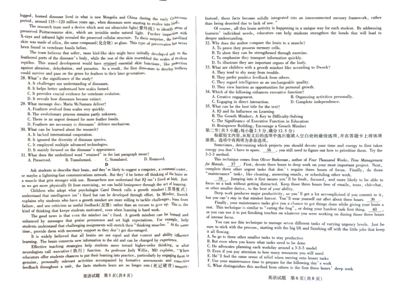 英语_2025年2月_250219河南天一大联考2024-2025学年高三下学期阶段性测试（五）