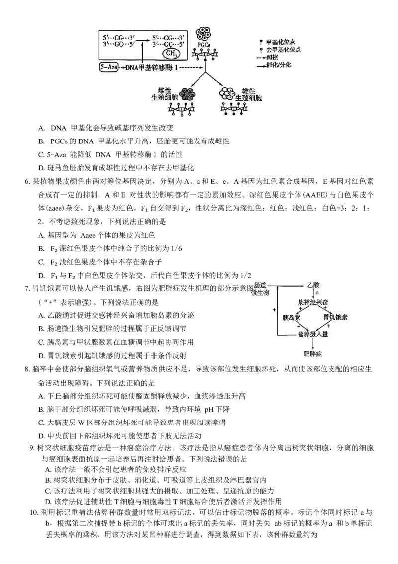 山东省潍坊市2025届高三高考模拟考试生物学试卷（有答案）_2025年3月_250323山东省潍坊市2025届高三下学期3月模拟考试（全科）_山东省潍坊市2025届高三下学期3月模拟考试生物
