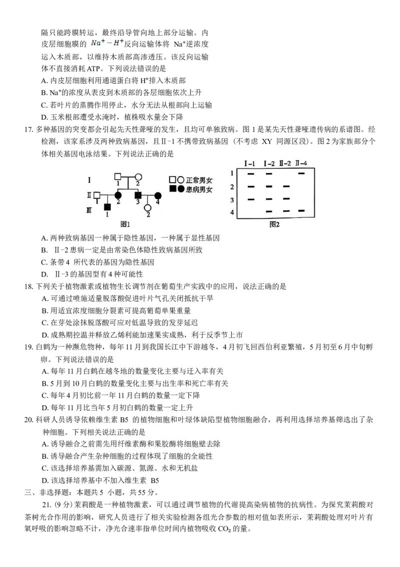 山东省潍坊市2025届高三高考模拟考试生物学试卷（有答案）_2025年3月_250323山东省潍坊市2025届高三下学期3月模拟考试（全科）_山东省潍坊市2025届高三下学期3月模拟考试生物