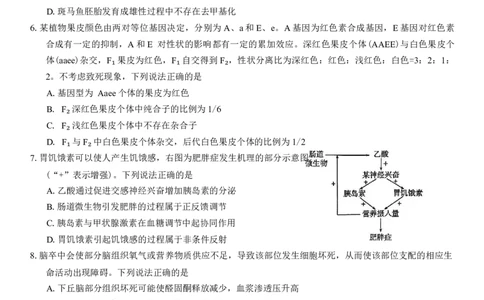 山东省潍坊市2025届高三高考模拟考试生物学试卷（有答案）_2025年3月_250323山东省潍坊市2025届高三下学期3月模拟考试（全科）_山东省潍坊市2025届高三下学期3月模拟考试生物