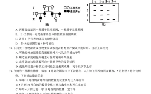 山东省潍坊市2025届高三高考模拟考试生物学试卷（有答案）_2025年3月_250323山东省潍坊市2025届高三下学期3月模拟考试（全科）_山东省潍坊市2025届高三下学期3月模拟考试生物