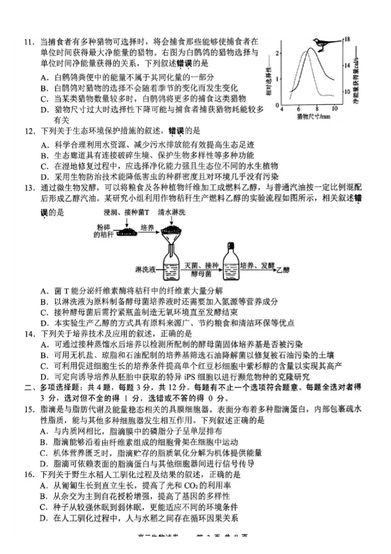 生物试题_2025年1月_250116江苏省无锡市2024年秋季学期高三期终教学质量调研测试（全科）_江苏省无锡市2024年秋季学期上学期高三期终教学质量调研测试生物