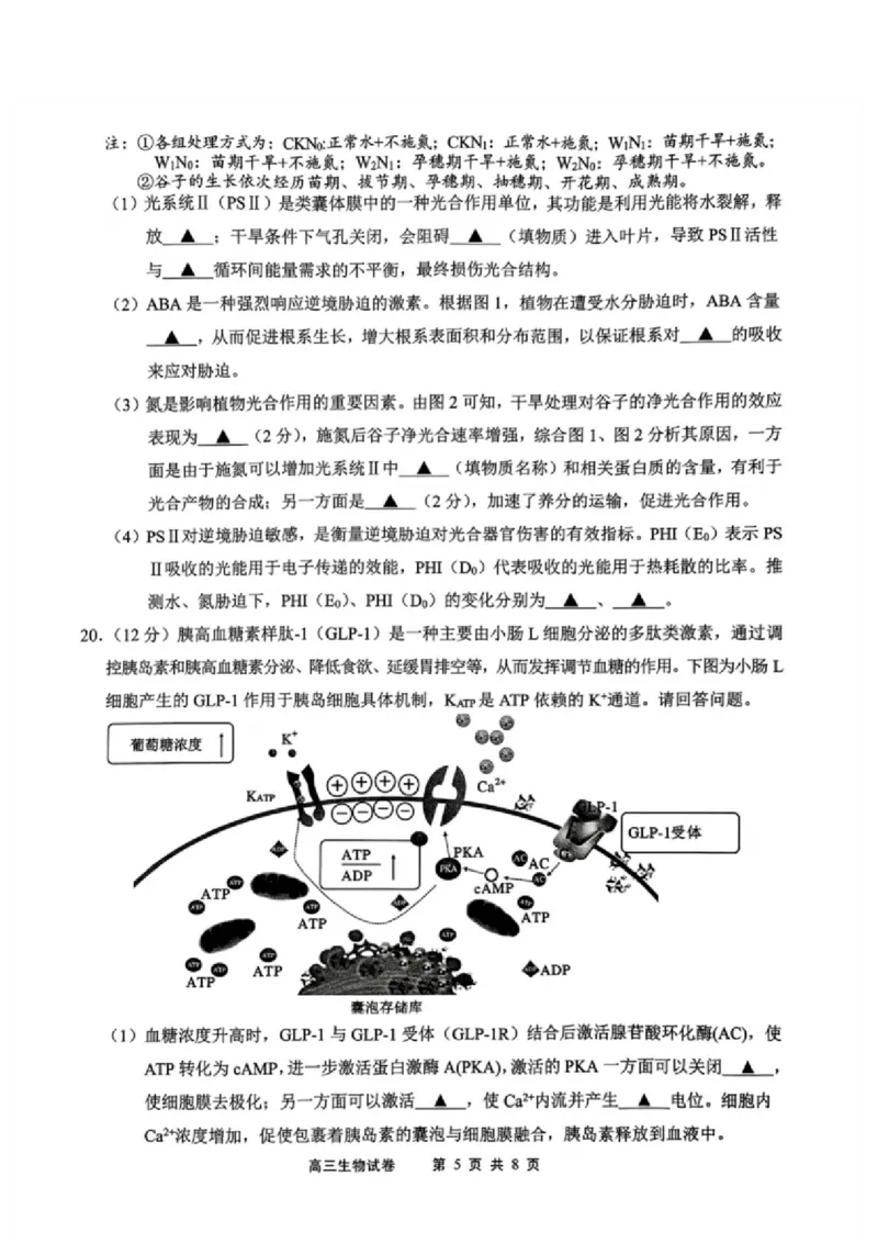 生物试题_2025年1月_250116江苏省无锡市2024年秋季学期高三期终教学质量调研测试（全科）_江苏省无锡市2024年秋季学期上学期高三期终教学质量调研测试生物