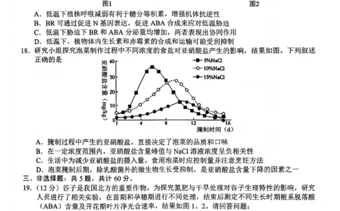 生物试题_2025年1月_250116江苏省无锡市2024年秋季学期高三期终教学质量调研测试（全科）_江苏省无锡市2024年秋季学期上学期高三期终教学质量调研测试生物