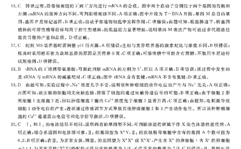 浙江强基联盟2025年8月高三联考生物答案_2025年8月_250828浙江强基联盟2025年8月高三联考（全科）
