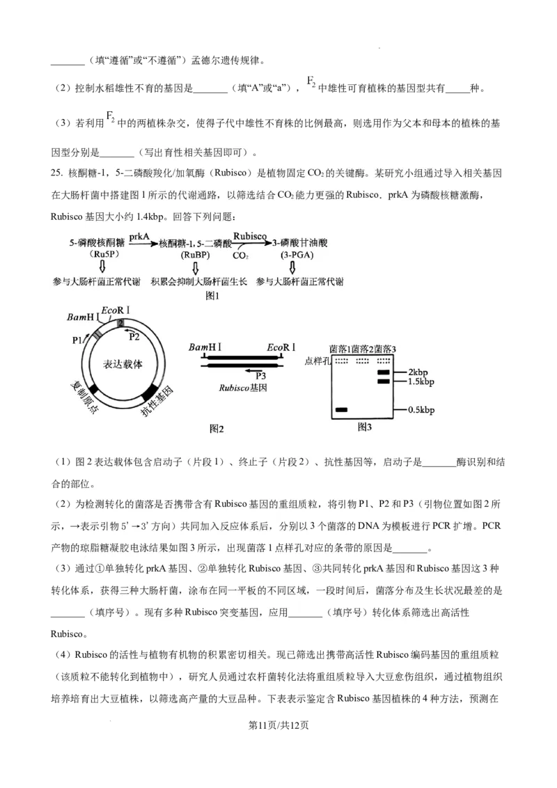 辽宁省抚顺市六校协作体2024-2025学年高三下学期期初检测生物_2025年3月_250313辽宁省抚顺市六校协作体2024-2025学年高三下学期期初检测（金太阳350C）（全科）