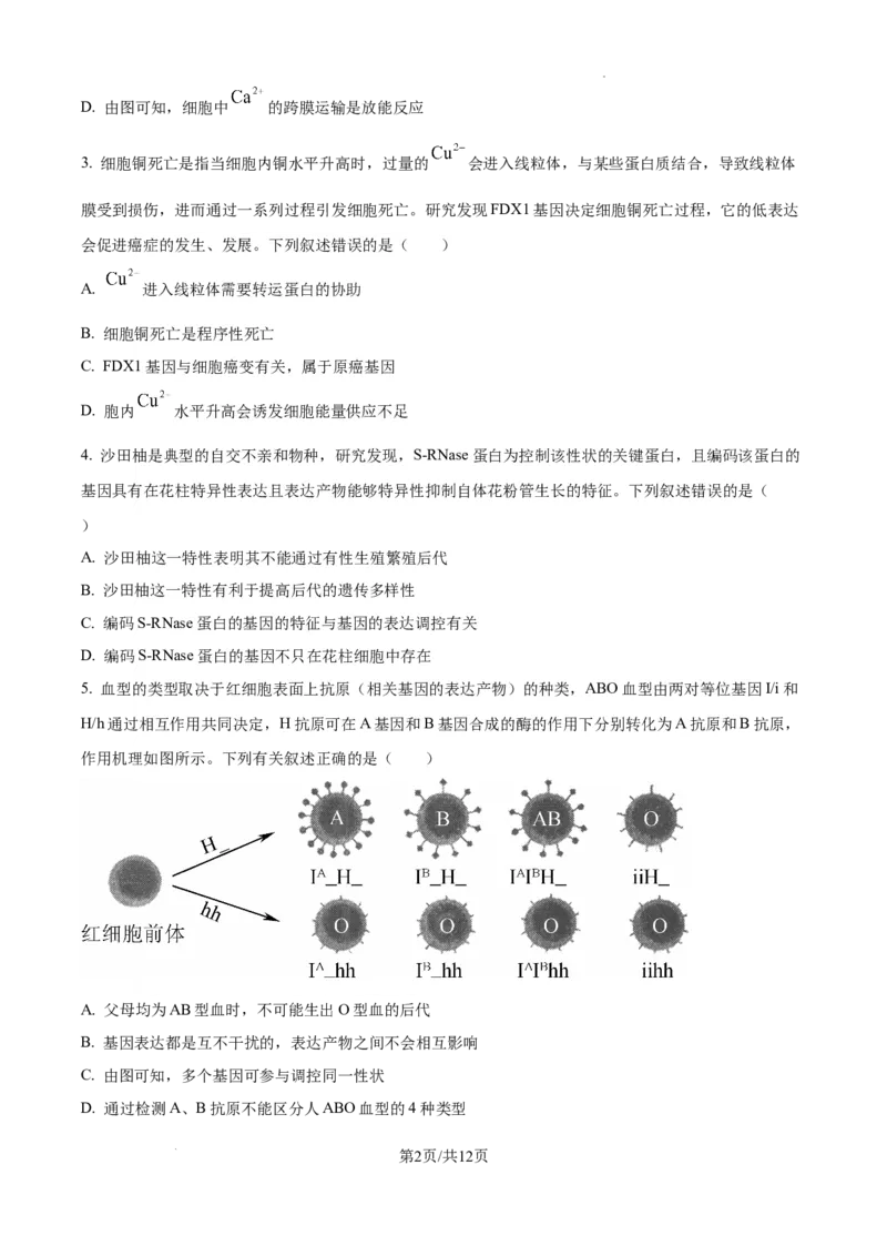 辽宁省抚顺市六校协作体2024-2025学年高三下学期期初检测生物_2025年3月_250313辽宁省抚顺市六校协作体2024-2025学年高三下学期期初检测（金太阳350C）（全科）