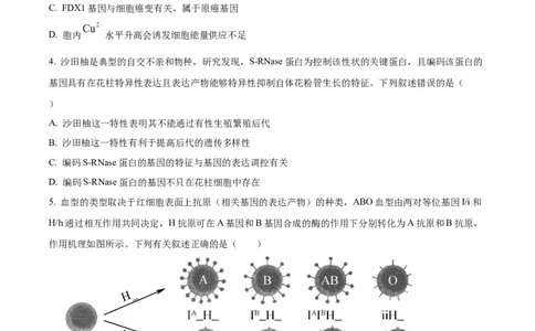 辽宁省抚顺市六校协作体2024-2025学年高三下学期期初检测生物_2025年3月_250313辽宁省抚顺市六校协作体2024-2025学年高三下学期期初检测（金太阳350C）（全科）