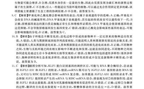 生物试卷（湛江一模）答案_2025年3月_250308广东省湛江市2025年高三普通高考测试（一）（全科）_广东省湛江市2025年普通高考测试（一）生物