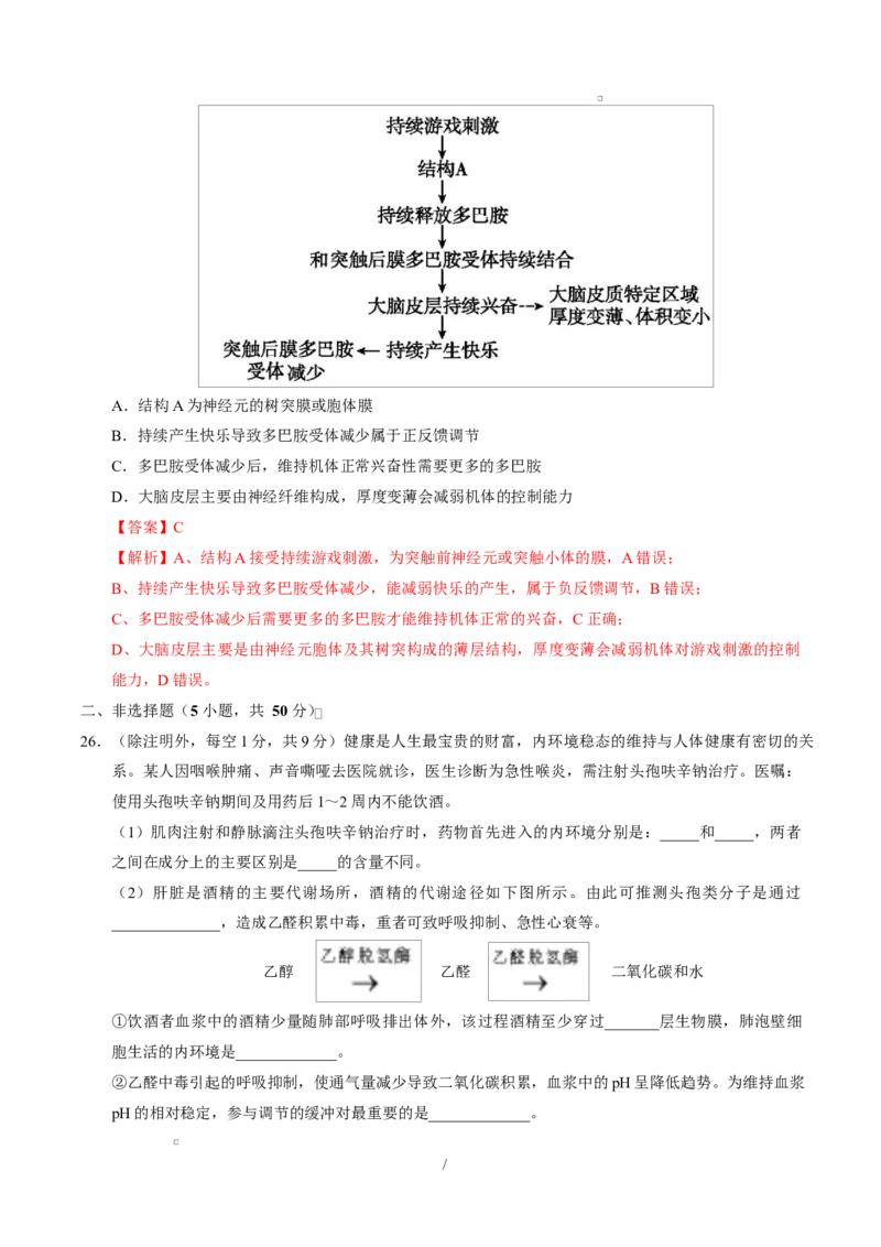 高二生物上第一次月考（全解全析）（人教版2019）_1多考区联考试卷_2510142025-2026学年高二生物上学期第一次月考试题_2025-2026学年高二生物上学期第一次月考（福建专用）Word版含解析
