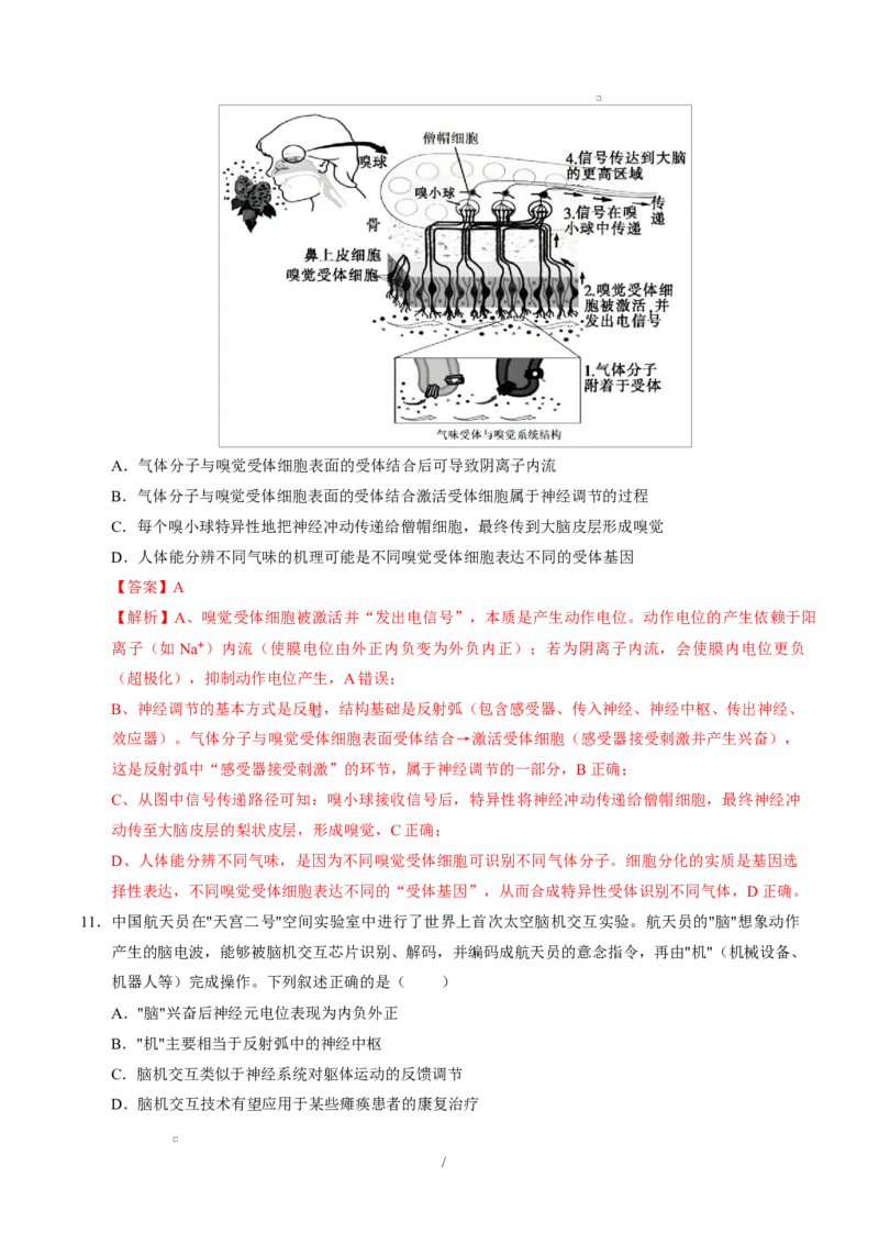 高二生物上第一次月考（全解全析）（人教版2019）_1多考区联考试卷_2510142025-2026学年高二生物上学期第一次月考试题_2025-2026学年高二生物上学期第一次月考（福建专用）Word版含解析