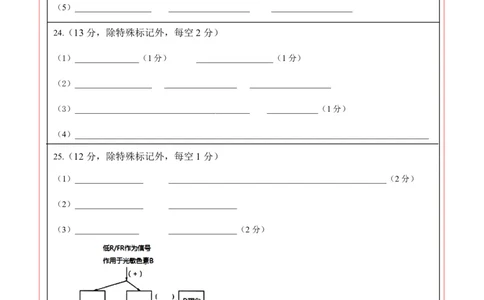 高二生物期中模拟卷01（答题卡）（新高考专用）(1)_1多考区联考_1014高二期中模拟卷（新高考通用）黄金卷：2024-2025学年高二上学期期中模拟考试