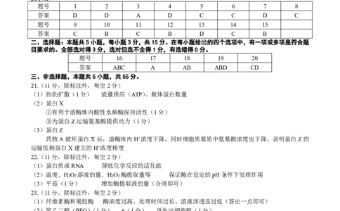 点石联考2025-2026学年度上学期高三年级9月份联合考试生物（B版）答案_2025年9月_250907点石联考2025-2026学年度上学期高三年级9月份联合考试（全科）