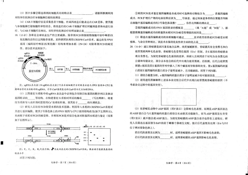 四川省巴中市普通高中2023级&ldquo;零诊&rdquo;考试生物_2025年9月_250919四川省巴中市普通高中2023级&ldquo;零诊&rdquo;考试（巴中零诊）（全科）_四川省巴中市普通高中2023级&ldquo;零诊&rdquo;考试生物