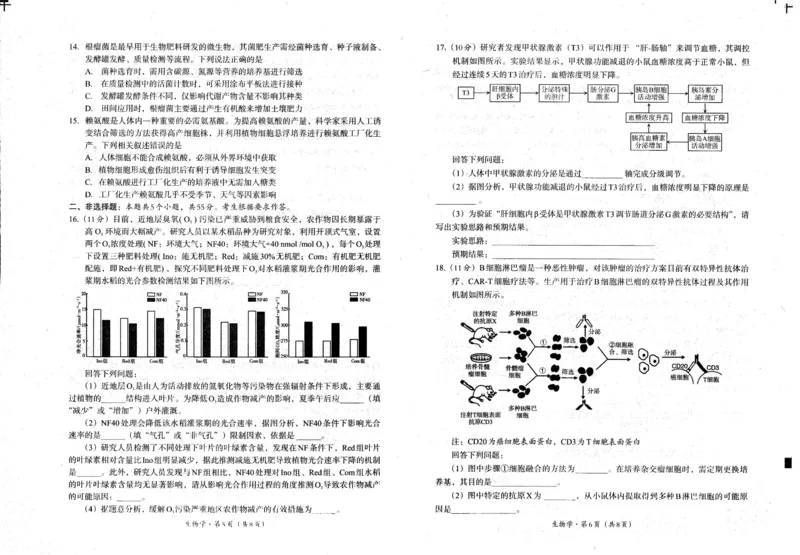 四川省巴中市普通高中2023级&ldquo;零诊&rdquo;考试生物_2025年9月_250919四川省巴中市普通高中2023级&ldquo;零诊&rdquo;考试（巴中零诊）（全科）_四川省巴中市普通高中2023级&ldquo;零诊&rdquo;考试生物