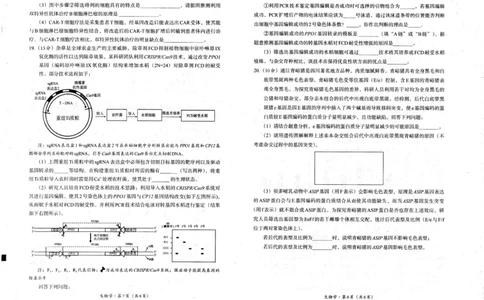 四川省巴中市普通高中2023级&ldquo;零诊&rdquo;考试生物_2025年9月_250919四川省巴中市普通高中2023级&ldquo;零诊&rdquo;考试（巴中零诊）（全科）_四川省巴中市普通高中2023级&ldquo;零诊&rdquo;考试生物