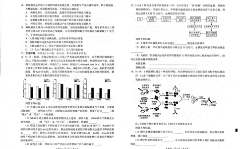 四川省巴中市普通高中2023级&ldquo;零诊&rdquo;考试生物_2025年9月_250919四川省巴中市普通高中2023级&ldquo;零诊&rdquo;考试（巴中零诊）（全科）_四川省巴中市普通高中2023级&ldquo;零诊&rdquo;考试生物