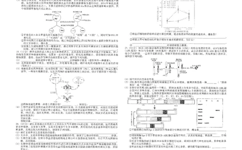 江西省南昌市2025届高三信息卷生物+答案_2025年5月_250517江西省南昌市2025届高三信息卷（南昌三模）（全科）