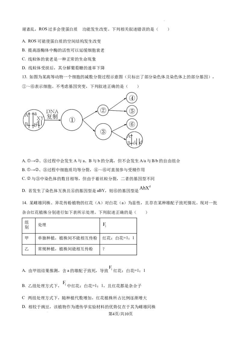 甘肃省平凉市第一中学校2025届高三上学期第四次阶段性考试生物_2025年1月_250102甘肃省平凉市第一中学校2025届高三上学期第四次阶段性考试（全科）_生物
