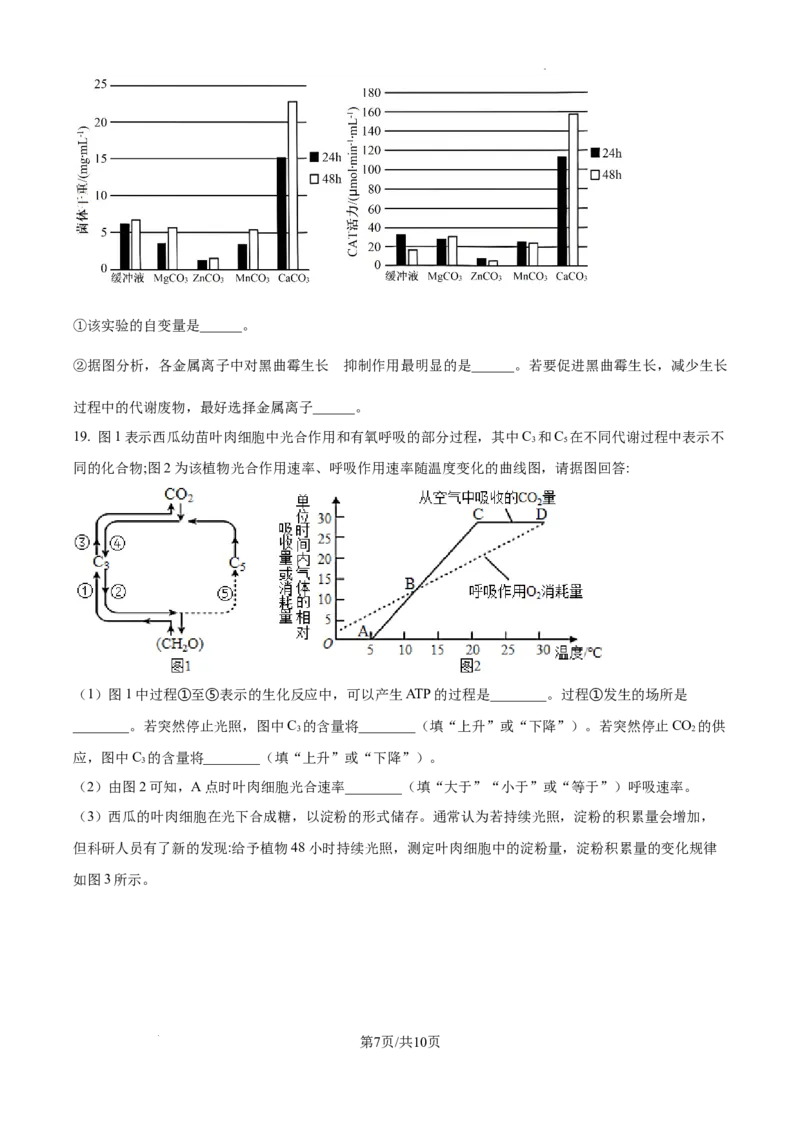 甘肃省平凉市第一中学校2025届高三上学期第四次阶段性考试生物_2025年1月_250102甘肃省平凉市第一中学校2025届高三上学期第四次阶段性考试（全科）_生物