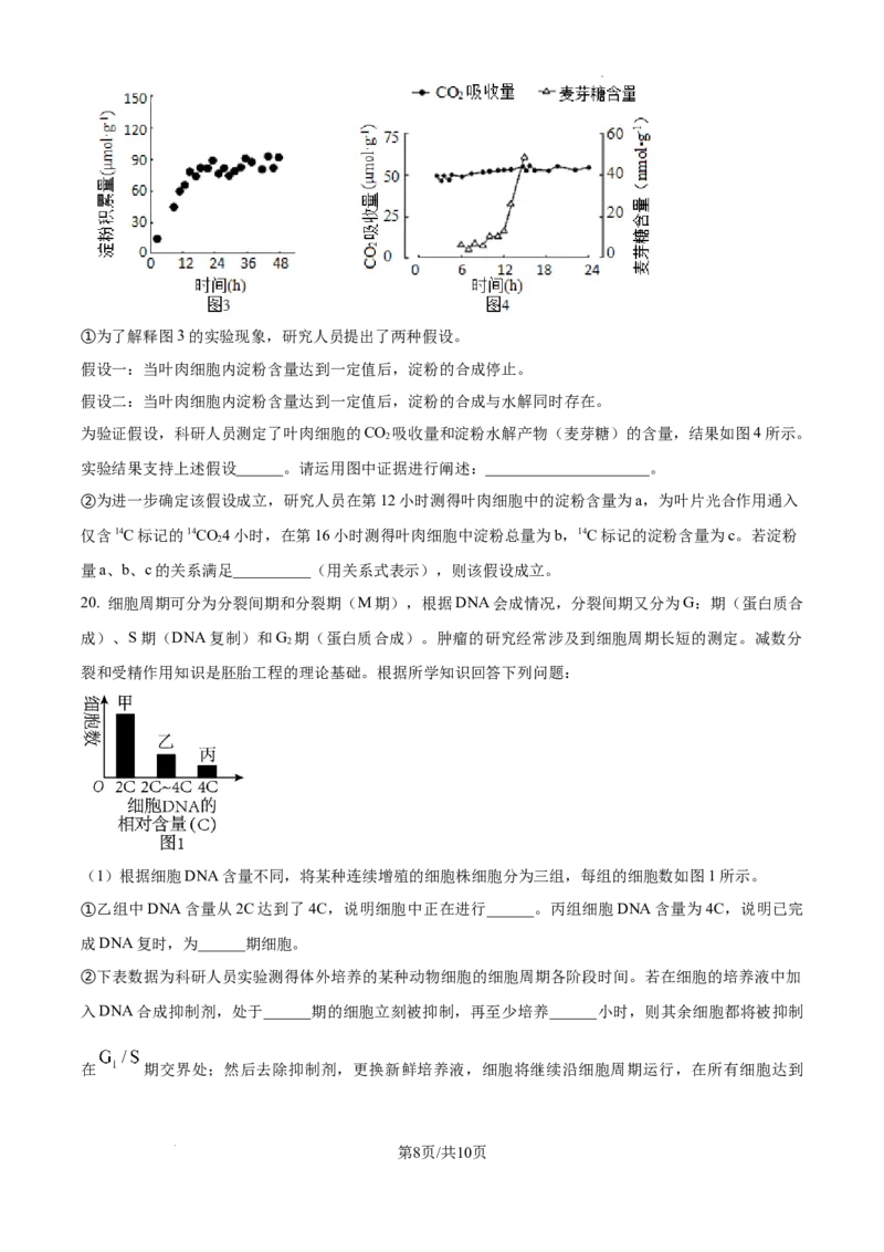 甘肃省平凉市第一中学校2025届高三上学期第四次阶段性考试生物_2025年1月_250102甘肃省平凉市第一中学校2025届高三上学期第四次阶段性考试（全科）_生物