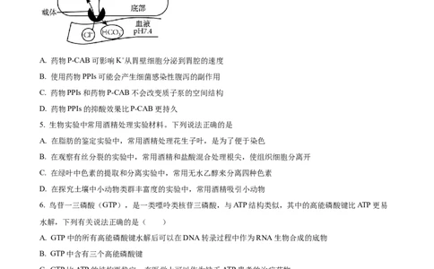 甘肃省平凉市第一中学校2025届高三上学期第四次阶段性考试生物_2025年1月_250102甘肃省平凉市第一中学校2025届高三上学期第四次阶段性考试（全科）_生物