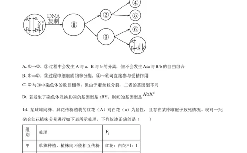 甘肃省平凉市第一中学校2025届高三上学期第四次阶段性考试生物_2025年1月_250102甘肃省平凉市第一中学校2025届高三上学期第四次阶段性考试（全科）_生物