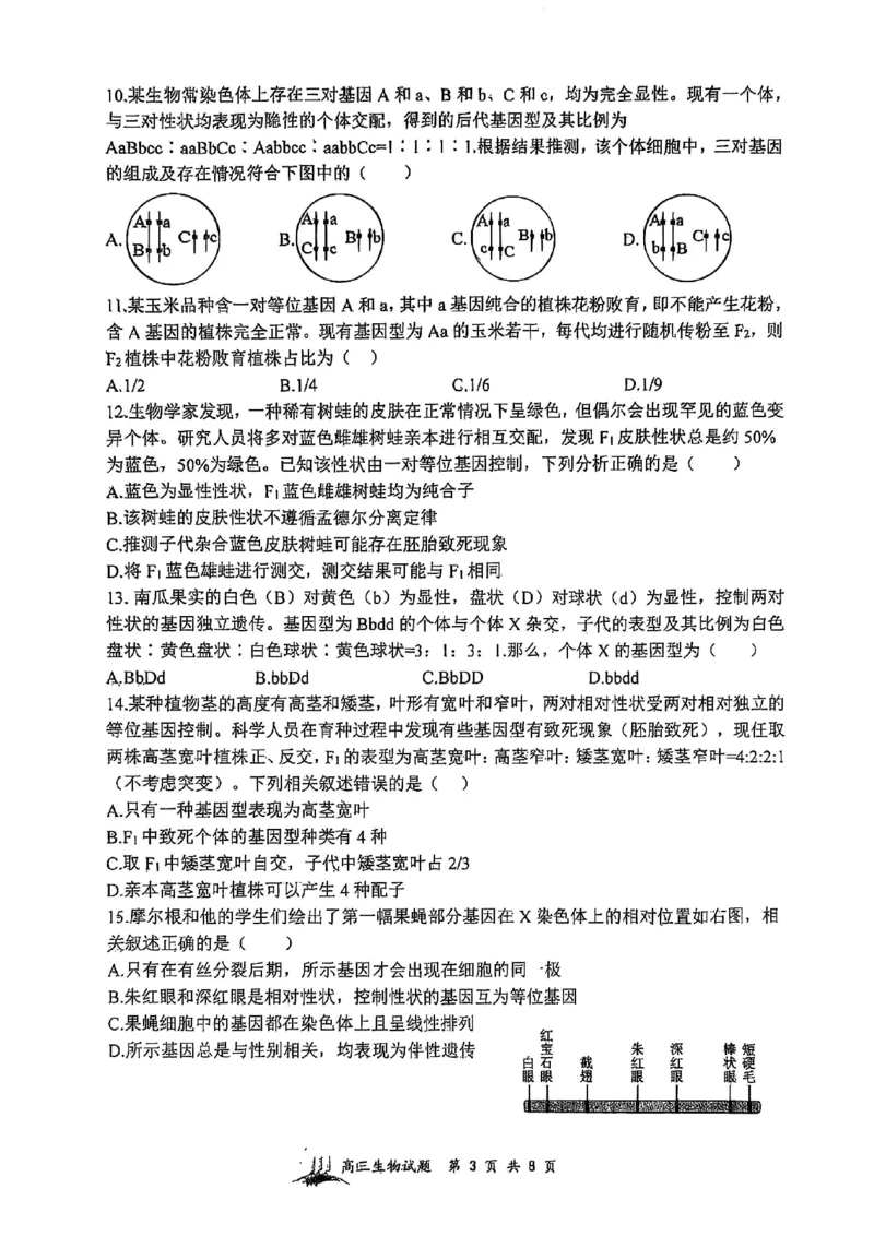 山西省山西大学附属中学校2025-2026学年高三上学期8月模块诊断（总第二次）生物试题_2025年8月_250825山西省山西大学附属中学校2025-2026学年高三上学期8月模块诊断（总第二次）