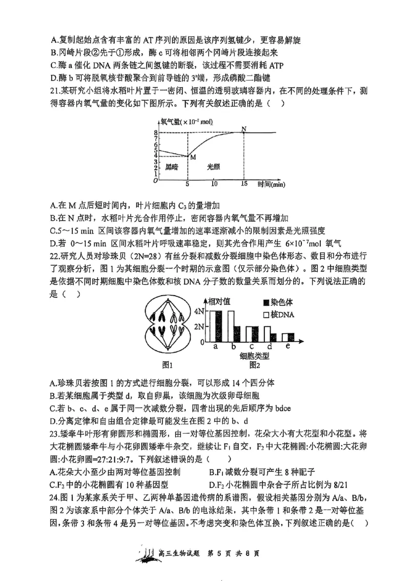 山西省山西大学附属中学校2025-2026学年高三上学期8月模块诊断（总第二次）生物试题_2025年8月_250825山西省山西大学附属中学校2025-2026学年高三上学期8月模块诊断（总第二次）