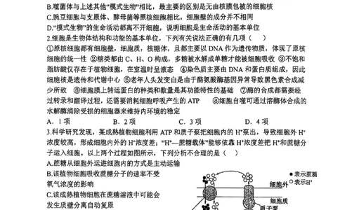 山西省山西大学附属中学校2025-2026学年高三上学期8月模块诊断（总第二次）生物试题_2025年8月_250825山西省山西大学附属中学校2025-2026学年高三上学期8月模块诊断（总第二次）