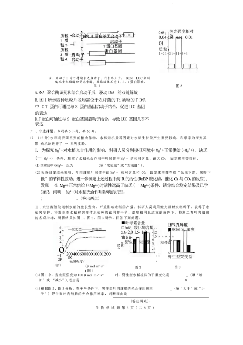湖南省九校联盟2026届高三上学期9月第一次联考生物试题（含答案）_2025年10月_251001湖南九校联盟2026届高三上学期9月第一次联考（全科）