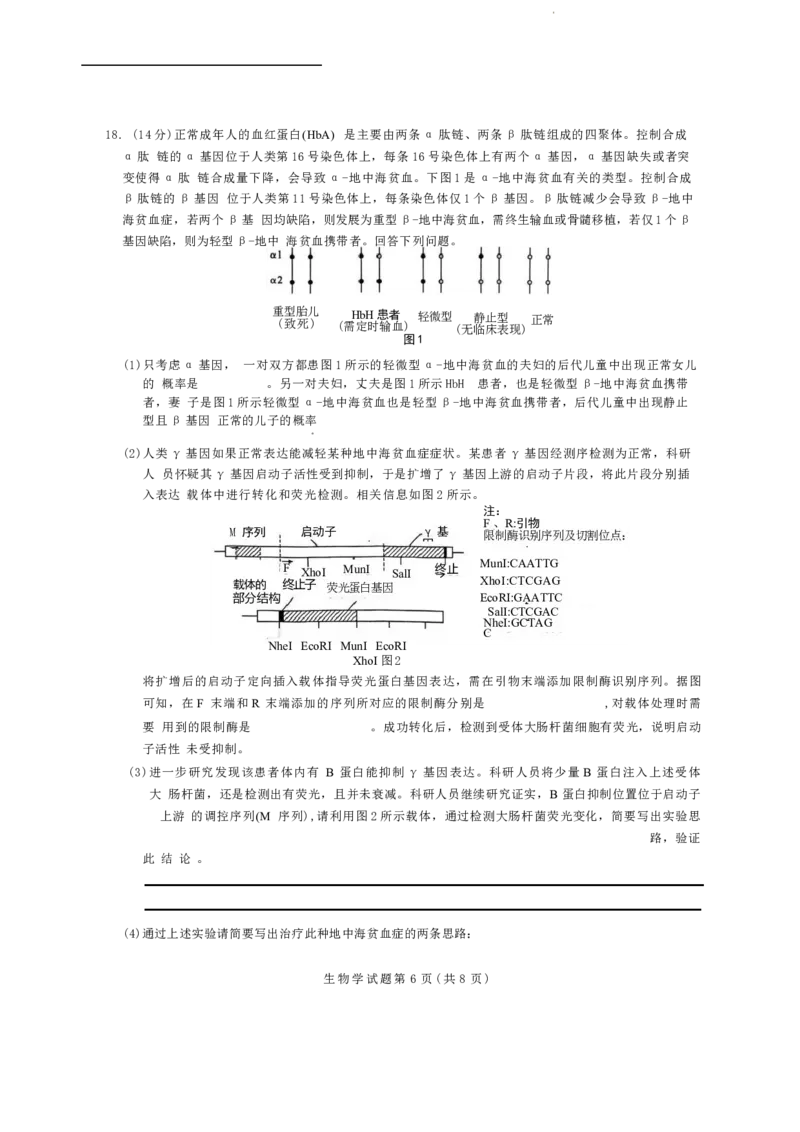 湖南省九校联盟2026届高三上学期9月第一次联考生物试题（含答案）_2025年10月_251001湖南九校联盟2026届高三上学期9月第一次联考（全科）