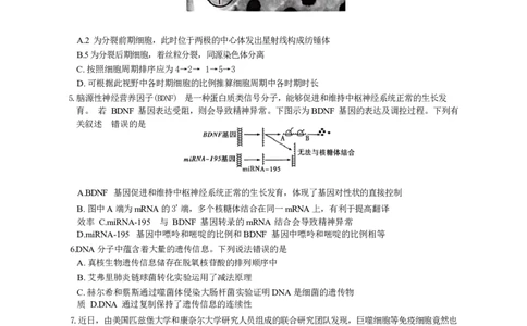 湖南省九校联盟2026届高三上学期9月第一次联考生物试题（含答案）_2025年10月_251001湖南九校联盟2026届高三上学期9月第一次联考（全科）