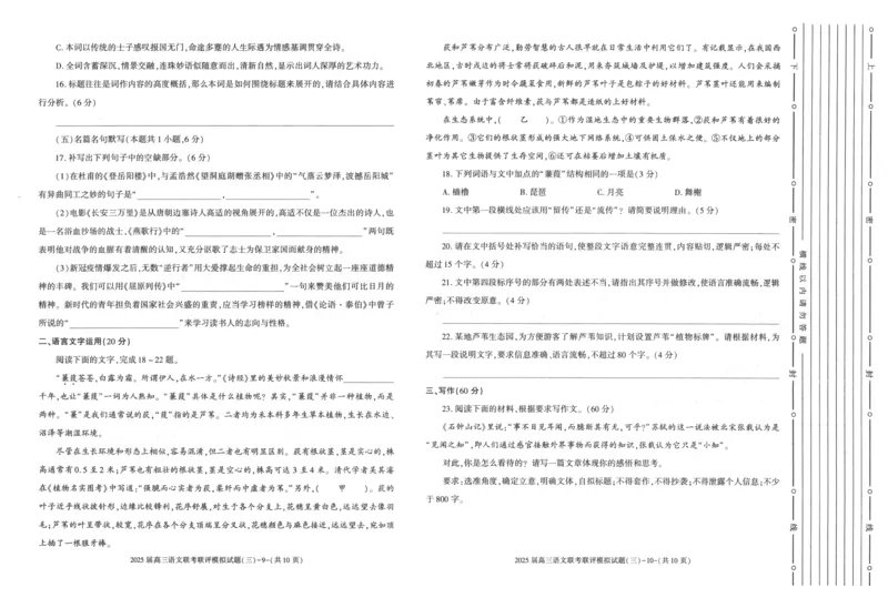 陕西省渭南市2025届高三联考联评模拟试题（三）语文+答案_2025年3月_250317陕西省渭南市2025届高三联考联评模拟试题（三）（二模）（全科）