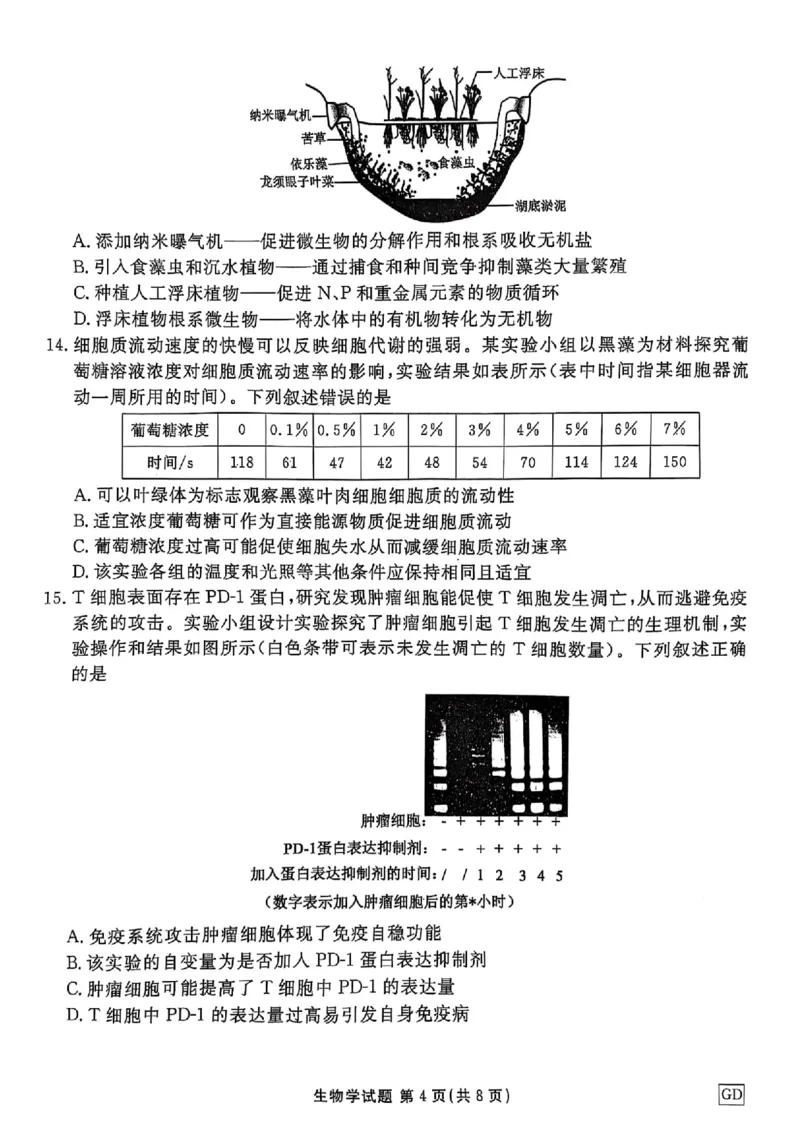 广东省衡水金卷2025届高三3月大联考生物+答案_2025年3月_250322广东省衡水金卷2025届高三3月大联考